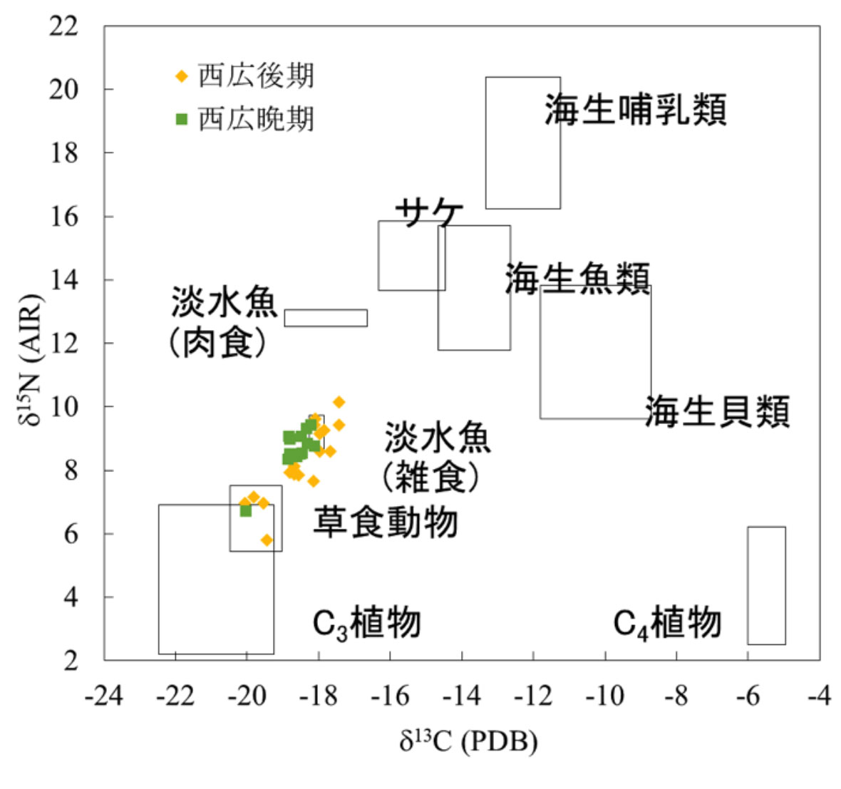 図1.西広貝塚における縄文時代後期と晩期のタンパク質源。どちらの時代にも海産物を多く摂取したグループと、陸上の動植物を中心に利用したグループに分かれていることが分かった。